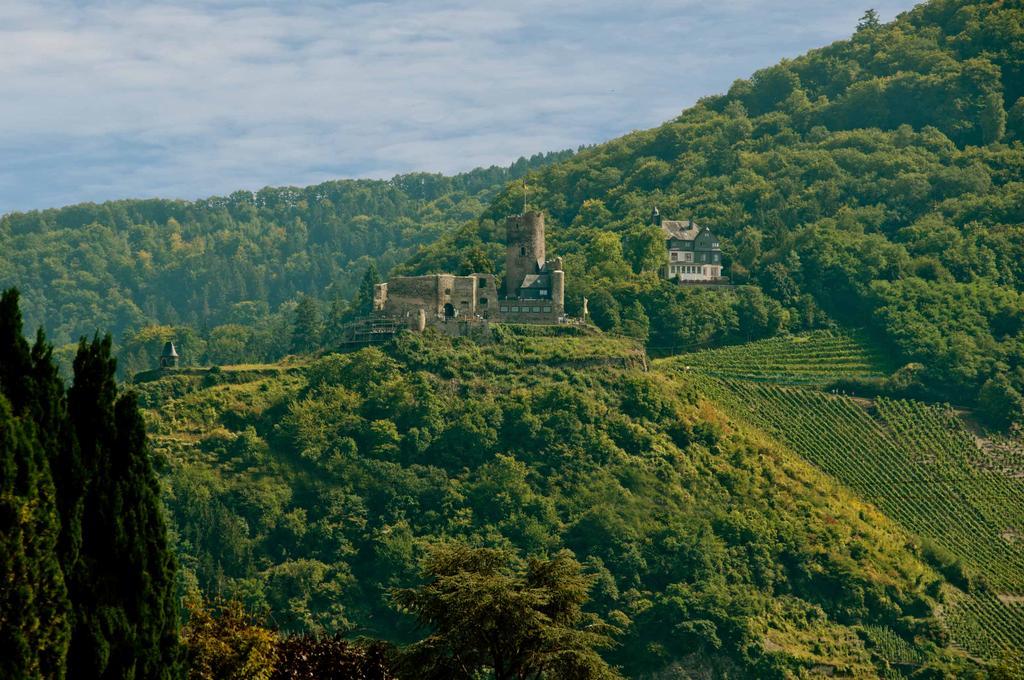 Alter Posthof Ferienwohnungen Bernkastel-Kues Eksteriør bilde